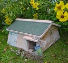 Hedgehog / Mammal Habitat